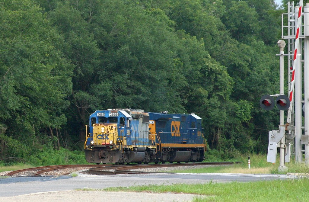 M740 dwarfed by the North Florida jungle